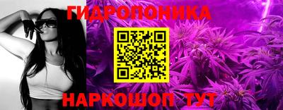 a pvp Дубна