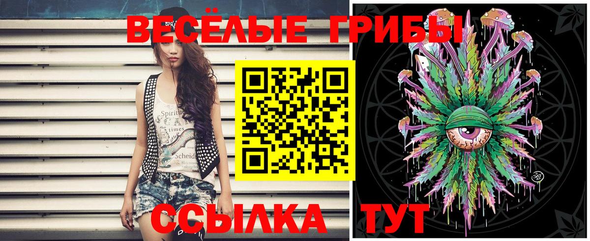 Псилоцибиновые грибы Psilocybine cubensis  купить   Галлюциногенные грибы GOLDEN TEACHER  Ликино-Дулёво  Вход с VPN 