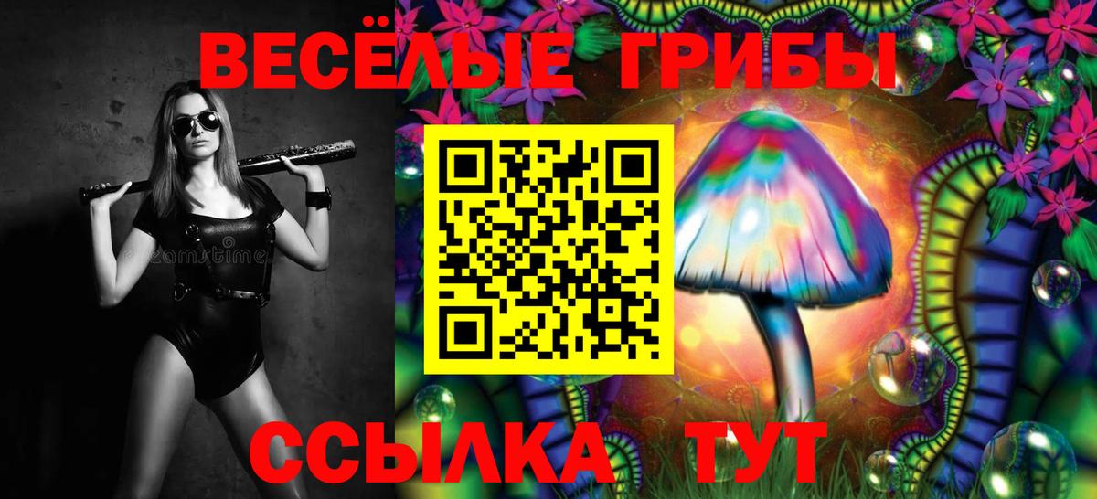 Галлюциногенные грибы мицелий Ликино-Дулёво